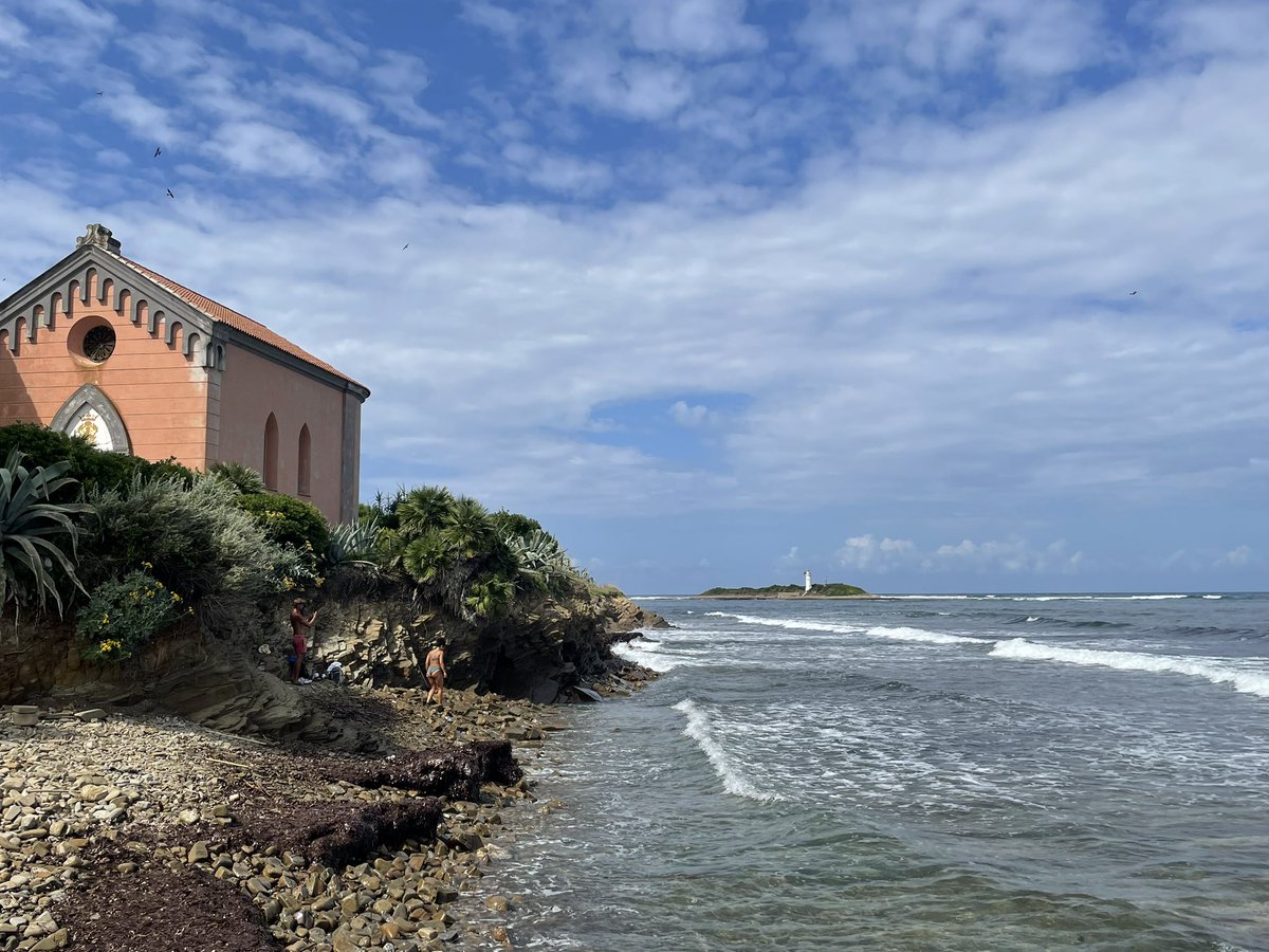 Armando De Crinito tweet media