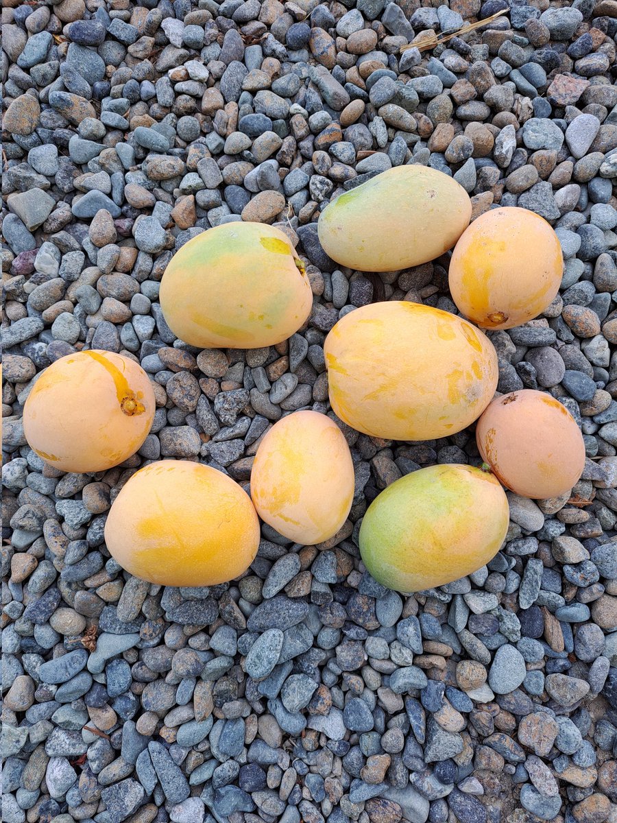 ● ممتنون جدا للمواقف .. فهي وحدها من تنظف علاقاتنا ..📍📇