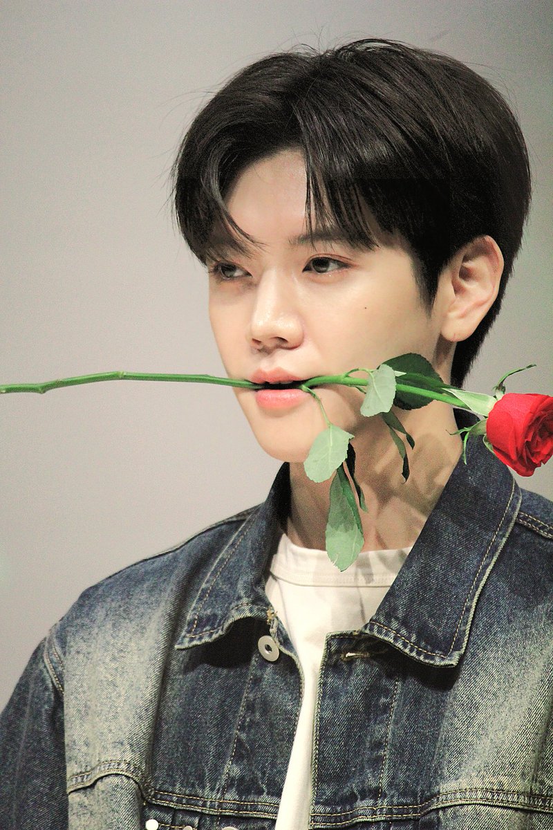bugireni95's tweet photo. 230702 케포타
꽃보다 더 아름아리따운 밍기🐰🌹

#REN #최민기 #CHOIMINGI ＃렌 #レン #Rendezvous https://t.co/sQ8DWIQHoJ