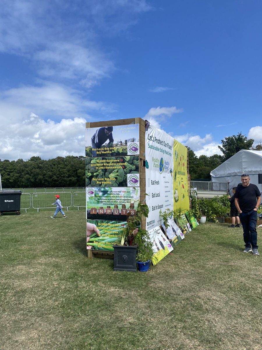 ShaneHalpin132 tweet media