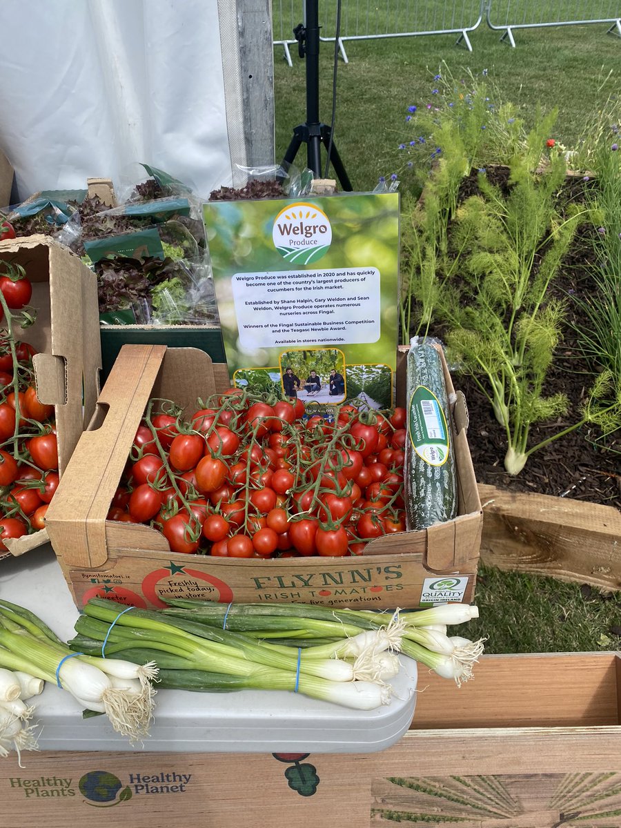 ShaneHalpin132 tweet media