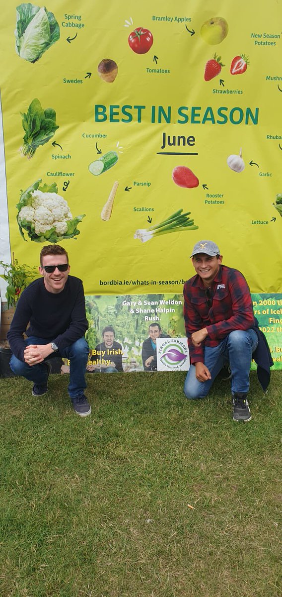 ShaneHalpin132 tweet media