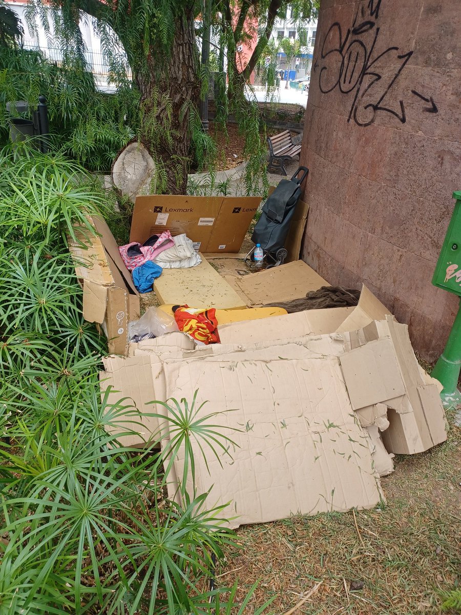 a_gmartin's tweet photo. @CarolinaDarias Mis mejores deseos para Ud. pero le ruego encarecidamente tome urgencia en el estado lamentable de abandono de nuestros @jardinesLPGC por favor. https://t.co/9yqv7t9LJs