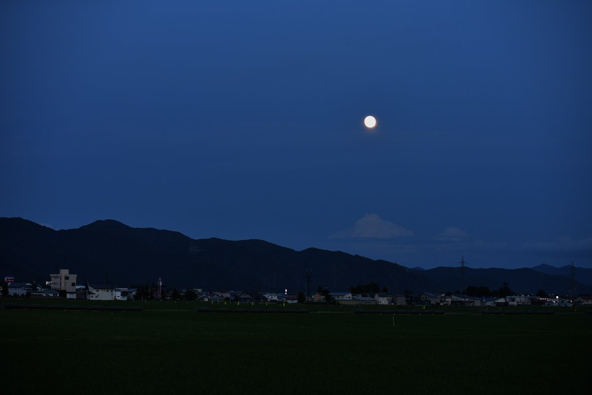 nikon_sigma tweet picture