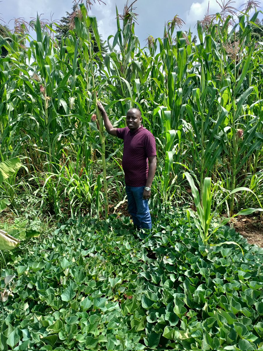 EricKombet's tweet photo. Food security.... https://t.co/VBtj3plRtg
