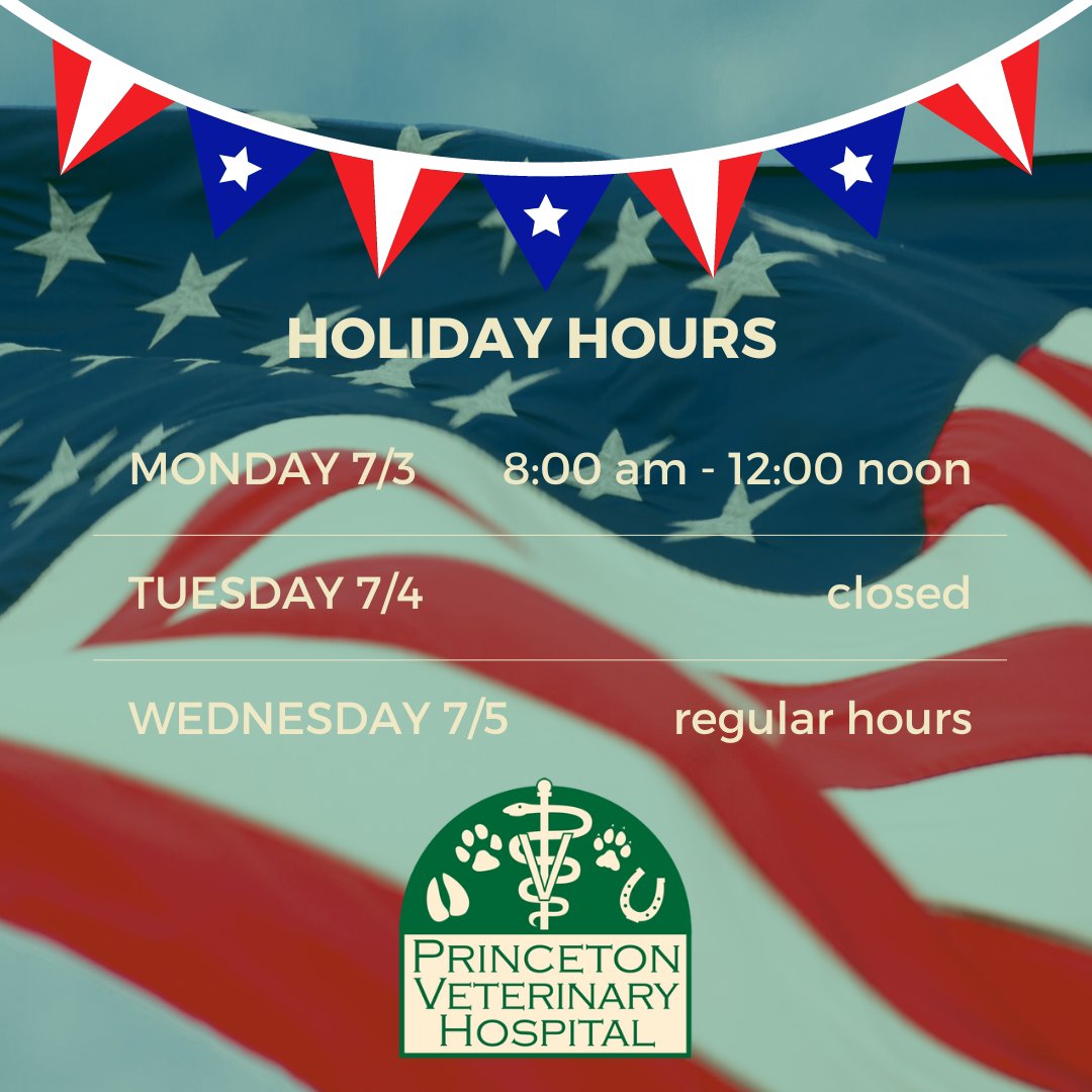 Princeton Veterinary Hospital tweet media