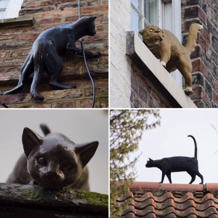 frome_maude's tweet photo. The buildings of #York are adorned with the statues of 22 #cats. Once a #medieval practice to protect the city from rats &amp; evil spirits, &amp; to also bring good luck, most of the statues have been in place since the 1980s, inspired by the late architect Tony Adams. #FolkloreSunday https://t.co/ggjtYDjmLa