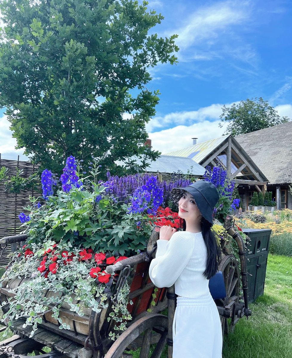 binacona's tweet photo. 👩🏻‍🎨 🌷Each new day will come and contain many new things. Live your best and enjoy your day.
Think about the good things you want and live energetically every day.
Thank you brother @alldexone always find for great investment opportunities.✌️
#TrendingHot 
#XFUNDER( $XE),#AI,#DEX https://t.co/tIis4KbRby