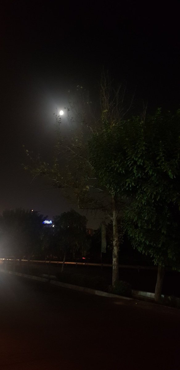PattraMarya's tweet photo. Happy Sunday ๐คฉ
It's about to be full .
Watch & enjoy every night.
#photography #photo #internationalnft #natur #photonft #nftseconds #NFT #moon #lifestyle #sky https://t.co/t2IVrH5qOh