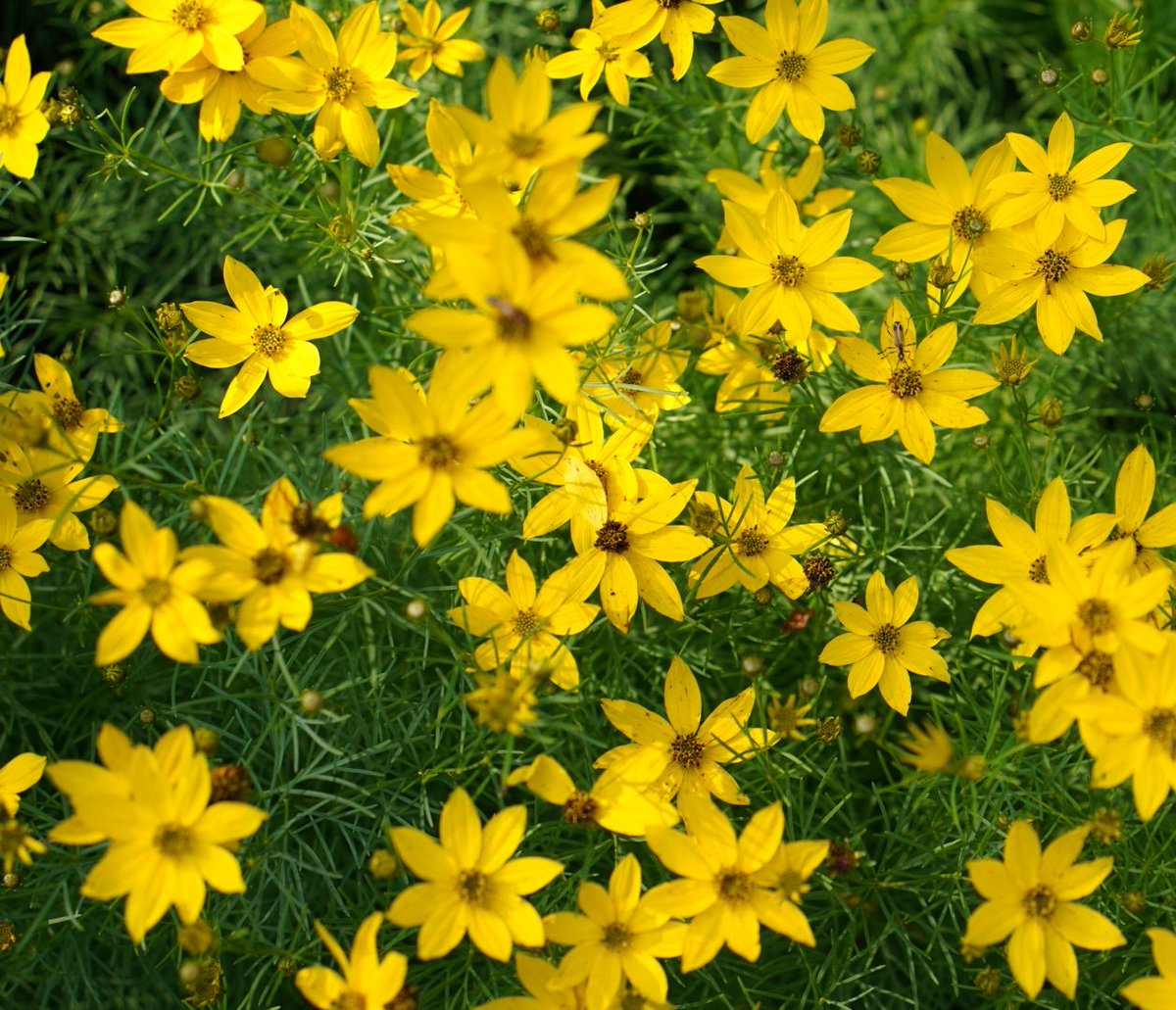 Rachel Clark tweet media