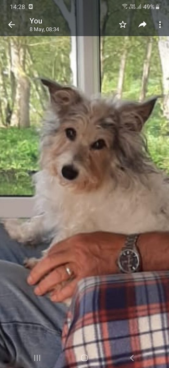 Had to say goodbye to my best friend this morning. Rest well Min, you may have been a small dog but you've left a huge hole in my heart.