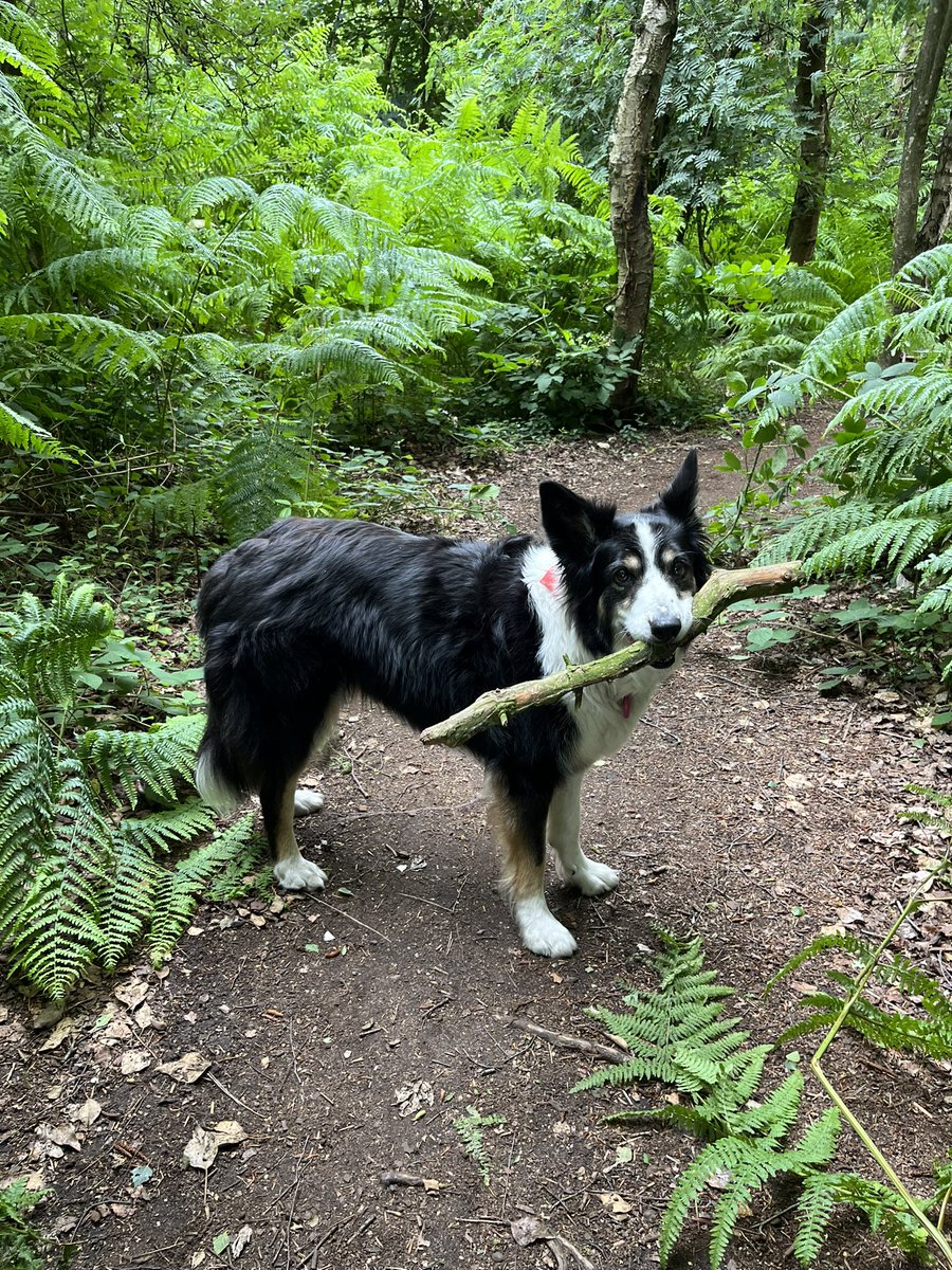 Hi. This is Kes’s backup account as my main account has been locked as spam. We don’t know why