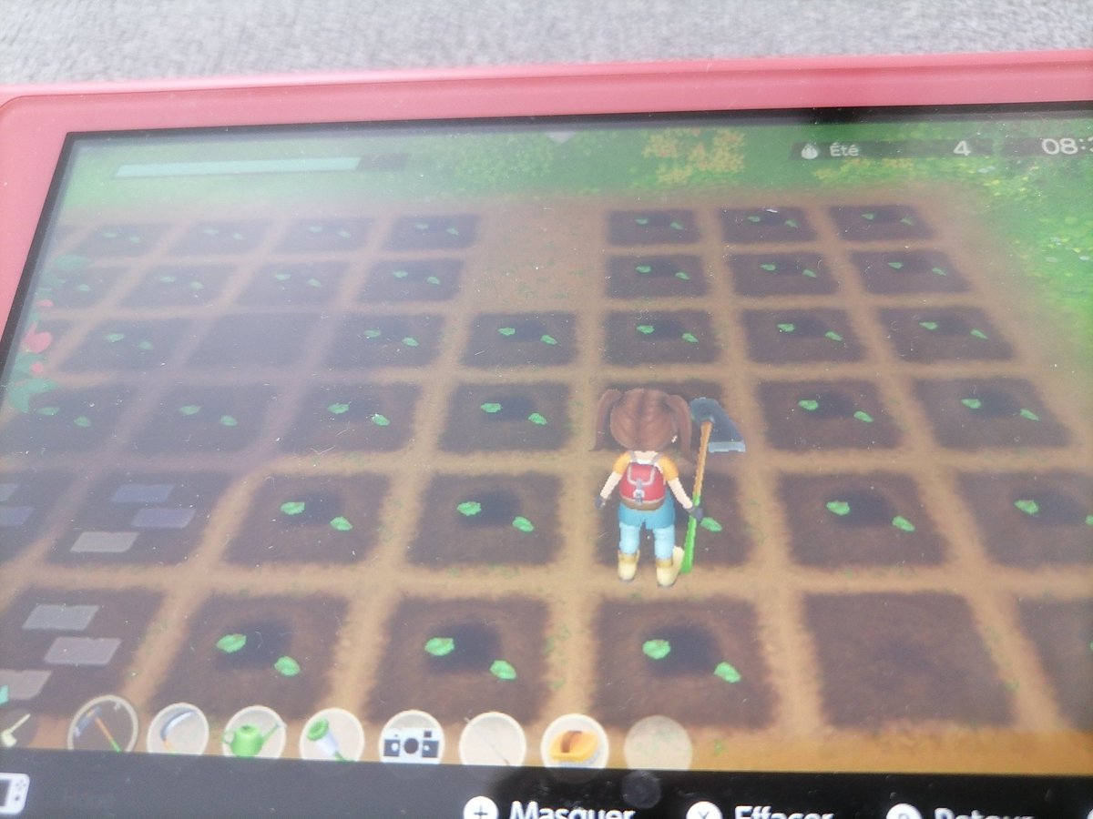 ZeKiwiZ's tweet photo. J'ai besoin d'aide 🙃
Comment est-ce qu'on fait pour labourer le champ après avoir fait la récolte ?!
#NintendoSwitch 
#StoryofSeasons https://t.co/ay30P6HEkd