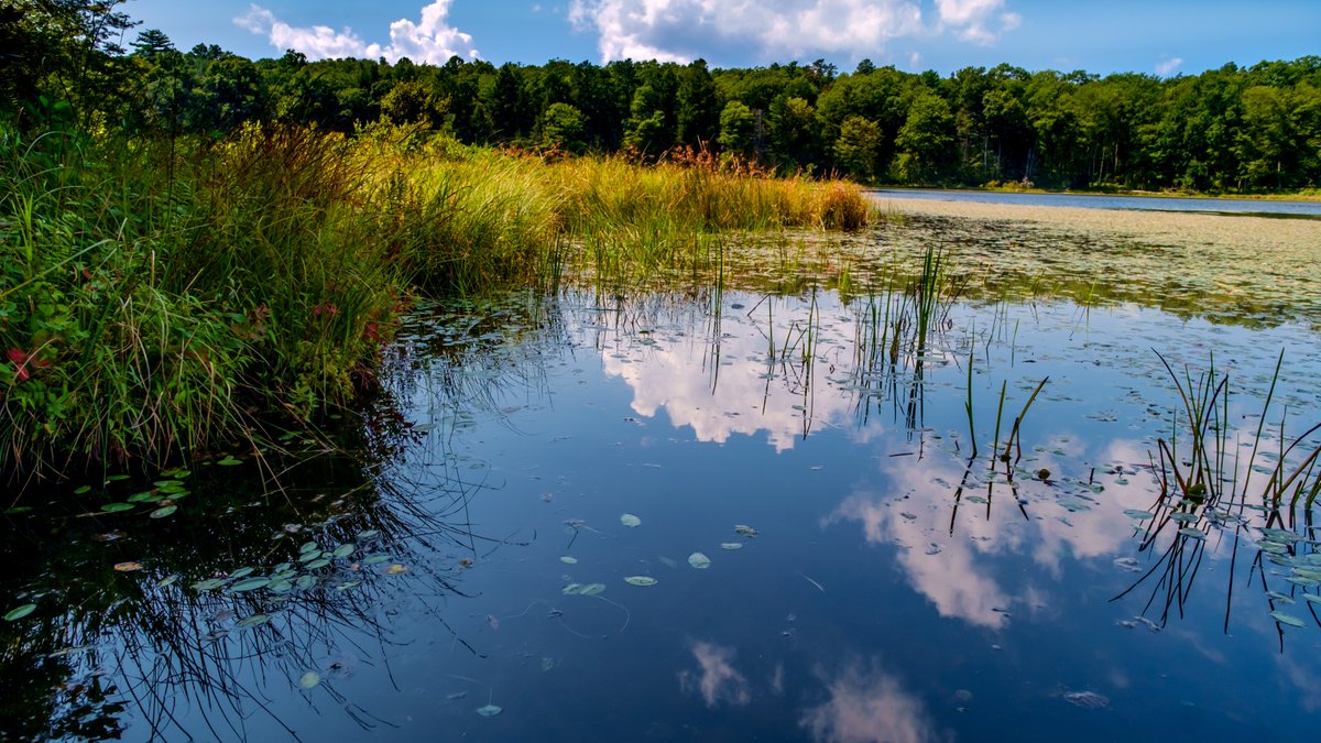 unepwcmc's tweet image. 🚀UNEP-WCMC is pleased to support the launch of the first corporate guidance on setting #ScienceBasedTargets #ForNature, released by @SBT_Network 🌿

The initial targets focus on the impacts on freshwater and land ecosystems. Learn more ➡️ bit.ly/3OCEEsD