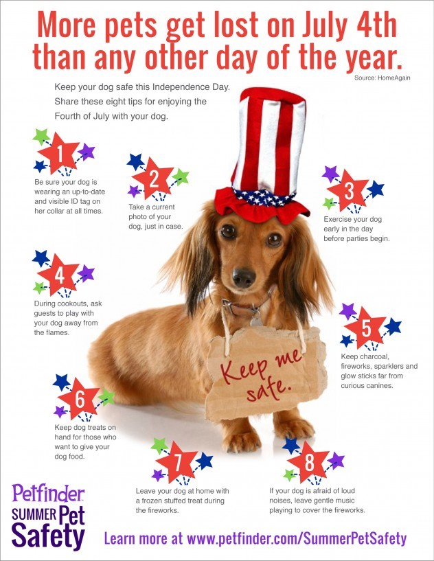 Keep your pets safe this 4th of July!
Below are some suggestions