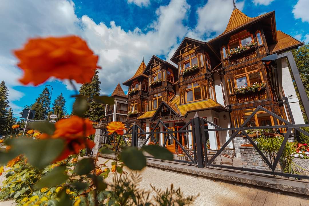 Travel_2Romania's tweet photo. Sovata - 𝗮 𝗿𝗲𝗹𝗮𝘅𝗶𝗻𝗴 𝘄𝗮𝗹𝗸 𝗶𝗻 𝘁𝗵𝗲 𝗿𝗲𝘀𝗼𝗿𝘁 🚶‍♀️🚶‍♂️#Mures
The Lacul Ursu is by no means the only attraction in #Sovata Between treatments or baths you can take a stroll through the streets of the #resort 🏘⛪️#architecture
https://t.co/XBo1GcBxIj
#DiscoverRomania https://t.co/jZ1jUBhIsg