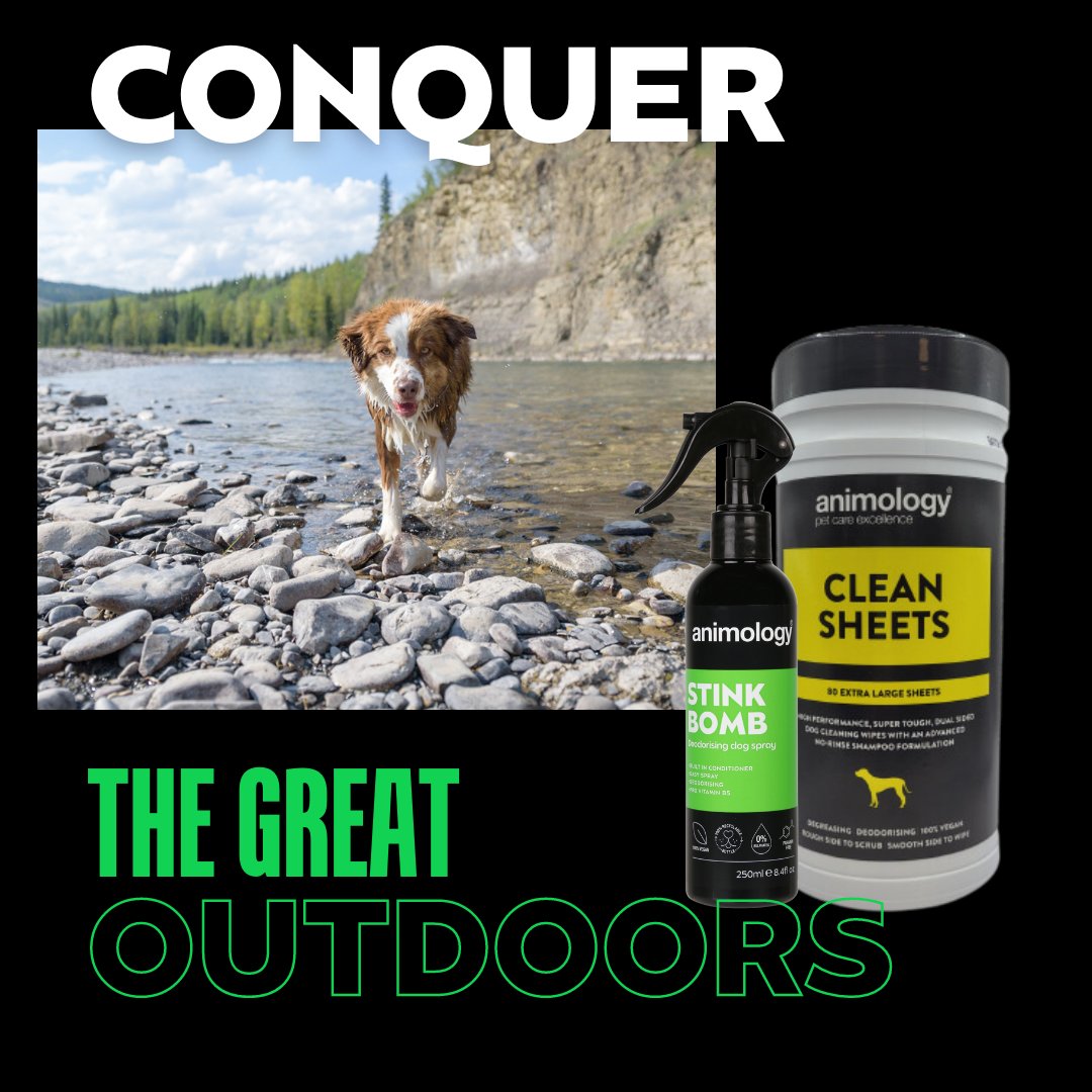 Conquer the great outdoors with Animology!

Summer adventures awaits, and your pup is your ultimate partner in crime! Gear up for epic escapades with Animology's outdoor essentials.