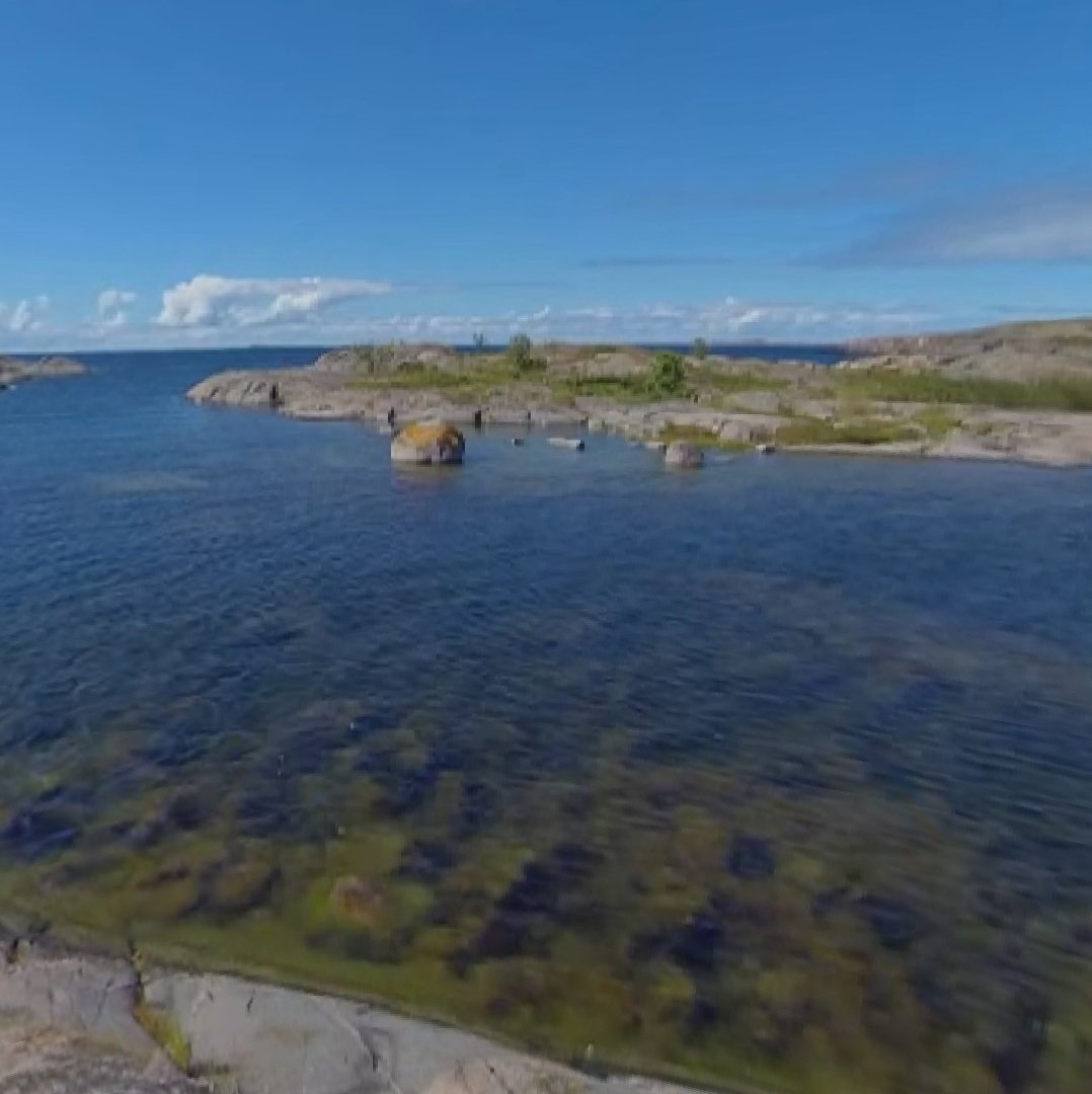 digimuseo's tweet photo. 🌊 Nyt täytyy päästä saaristoon! Nopein reitti lienee klikkaus tästä: https://t.co/9rrzB35DD4

@jnurmisensaatio'n Matka meren maahan -virtuaalinäyttely vie sinut elämysmatkalle Saaristomerelle.

😎 Tämä kannattaa kokeilla VR-laseilla!
🇫🇮🇸🇪🇬🇧 Elämys on tarjolla kolmella kielellä. https://t.co/7S99Dwy71x