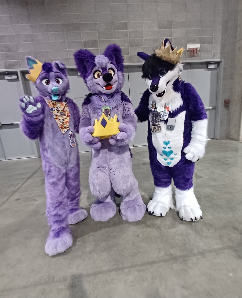 Xeonalove867's tweet photo. Purple kings #anthrocon2023 https://t.co/zr6OBaQ4vg