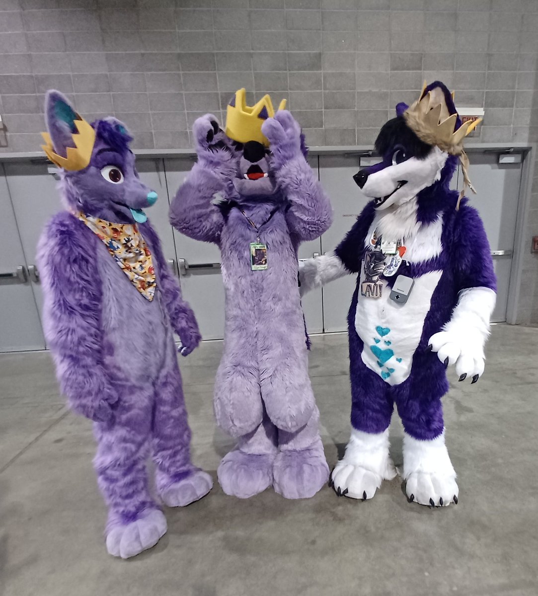 Xeonalove867's tweet photo. Purple kings #anthrocon2023 https://t.co/zr6OBaQ4vg