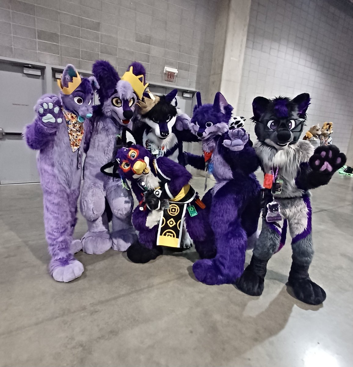 Xeonalove867's tweet photo. Purple kings #anthrocon2023 https://t.co/zr6OBaQ4vg