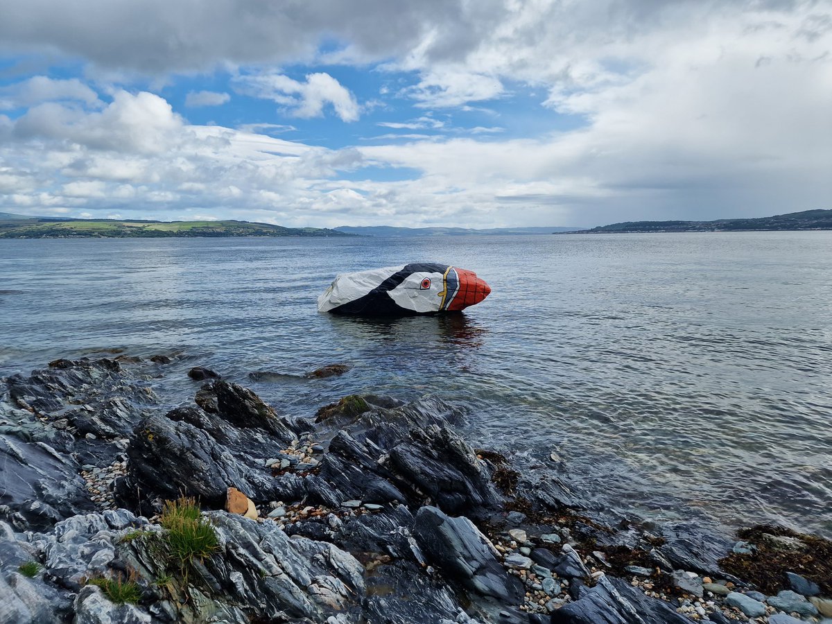 Can't go to Dunoon and not snap this cheeky fella.

#Scotland <a href="/wildaboutargyll/">Wild About Argyll | Scotland’s Adventure Coast</a>