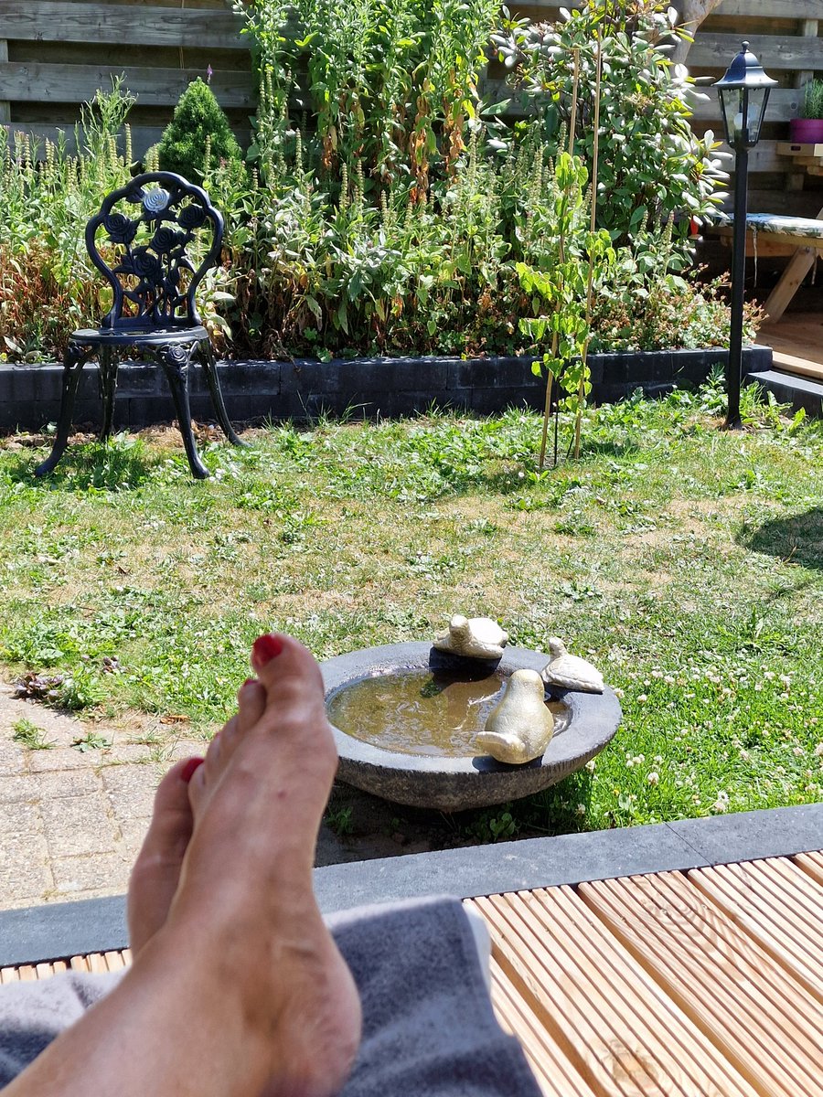 AddyMeuldijk's tweet image. Lazy sunday afternoon