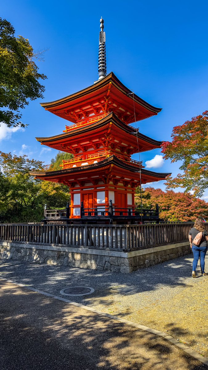 PrettyOkTravel's tweet photo. We went to Kiyomizu-dera not knowing it was culture day. The long hike up the Kyoto hills was packed with locals going for a holiday shrine visit.  The top was worth it though, as the views against the backdrop of the city were breathtaking.

#japan #kyoto #kiyomizudera #temples https://t.co/cCvalgMihd