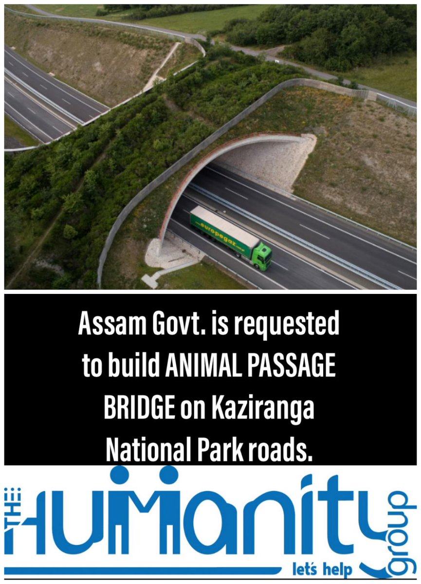 Jampa Tsering བྱམས་པ་ཚེ་རིང་། (@akshaykee007) on Twitter photo Assam govt. might be working on it,if yes then pls do it as soon as possible. BJP will only care for such projects and animals have the rights for the such passage.
#Assam <a href="/CMOfficeAssam/">Chief Minister Assam</a> <a href="/himantabiswa/">Himanta Biswa Sarma</a> <a href="/BJP4Arunachal/">BJP ArunachalPradesh</a> <a href="/BjpAssamPradesh/">BJP Assam Pradesh</a> <a href="/BJP4India/">BJP</a> <a href="/PemaKhanduBJP/">Pema Khandu པདྨ་མཁའ་འགྲོ་།</a> Assam govt. might be working on it,if yes then pls do it as soon as possible. BJP will only care for such projects and animals have the rights for the such passage.
#Assam <a href="/CMOfficeAssam/">Chief Minister Assam</a> <a href="/himantabiswa/">Himanta Biswa Sarma</a> <a href="/BJP4Arunachal/">BJP ArunachalPradesh</a> <a href="/BjpAssamPradesh/">BJP Assam Pradesh</a> <a href="/BJP4India/">BJP</a> <a href="/PemaKhanduBJP/">Pema Khandu པདྨ་མཁའ་འགྲོ་།</a>