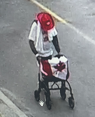 TPSOperations's tweet photo. MISSING:
Haftu, 60
-last seen on Friday, June 30, 2023, at 7:30 pm, in the Bayview Ave/blythwood Rd area
-described as 5'11", slim build, brown eyes &amp; black hair
-wearing a white t-shirt, red cowboy-style hat &amp; using a 4-wheel walker w/Canadian flag on the front
#GO1517545
^lm https://t.co/XGP5oS8jLB