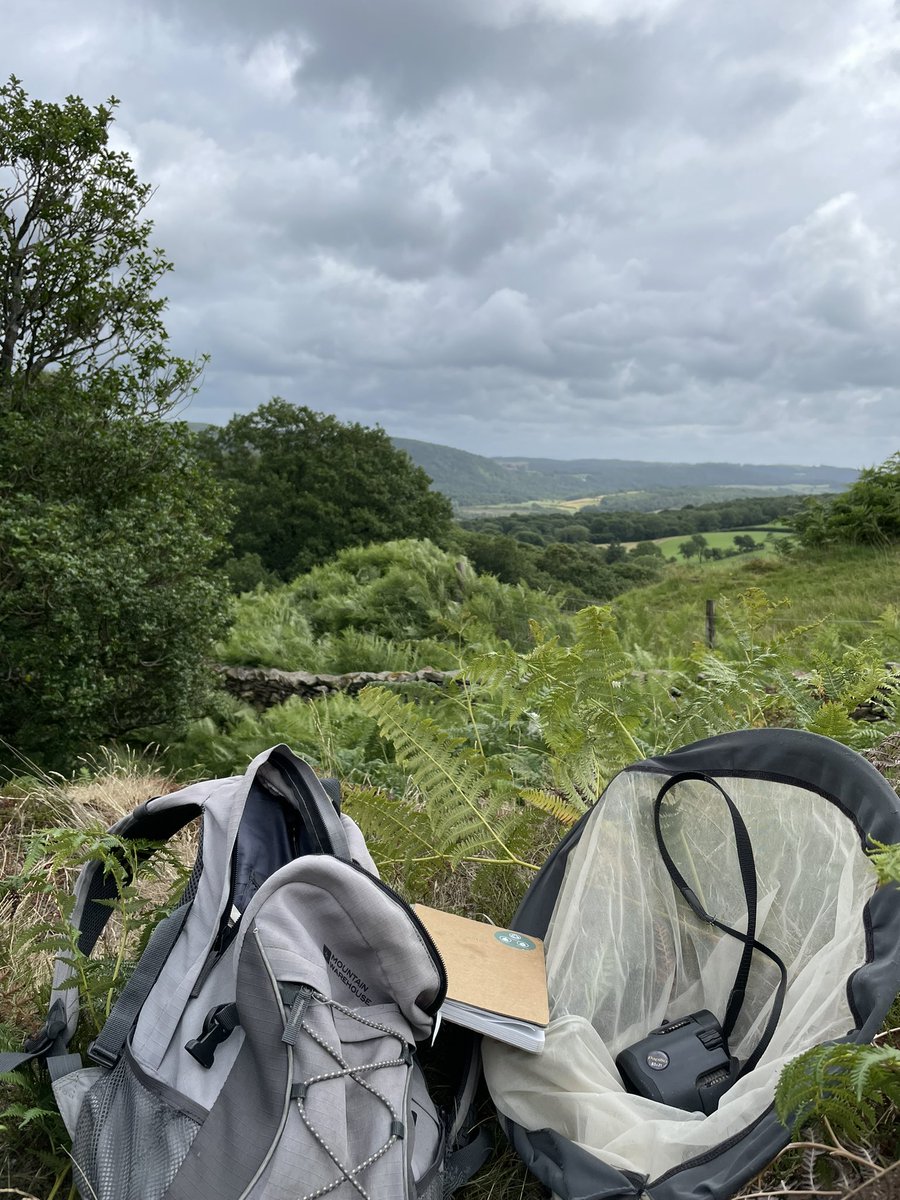 Surveying rare High Brown Fritillary butterflies in #cumbria, but cloudy with showers… I’ll just have to listen to exciting England cricket <a href="/bbctms/">Test Match Special</a> …. Another 6! Marvellous