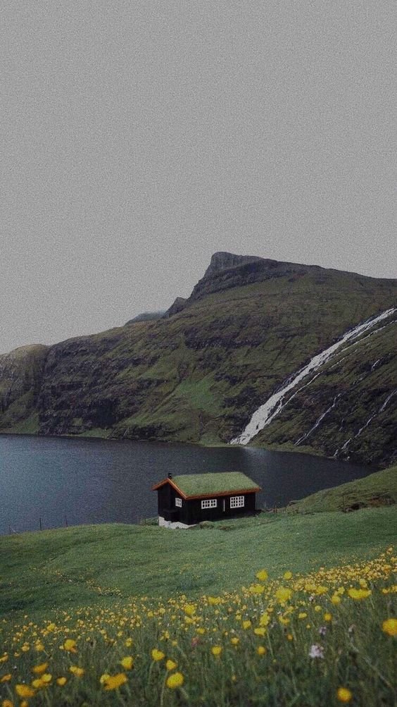 quiet place