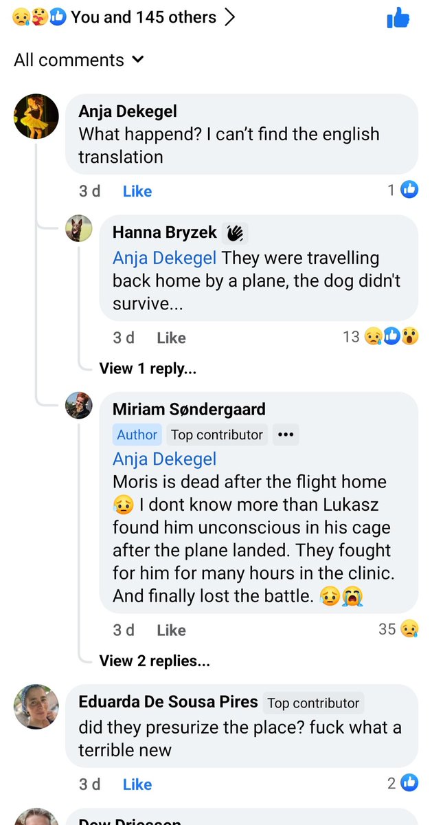 flytogether2021's tweet photo. Moris, your death will not be in vain. #airlinecargo #mascotas #flyingwithpets #transportedemascotas #nosinellos https://t.co/KCLNt2YIae