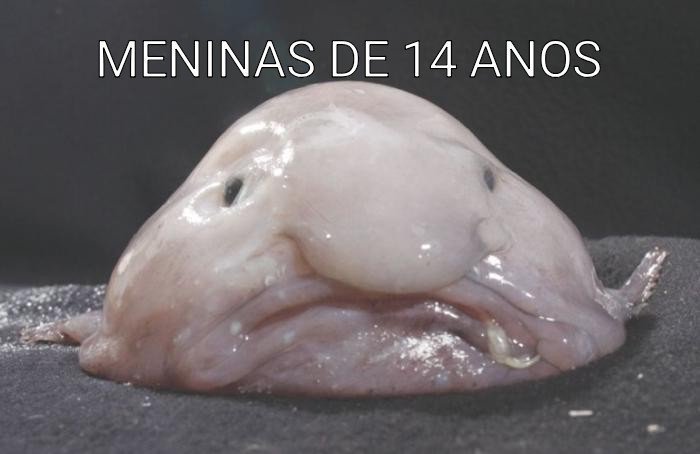morto_so2's tweet photo. Ñ me abandonem, eu tô aqui, eu tô aqui https://t.co/rtWuisEfOV