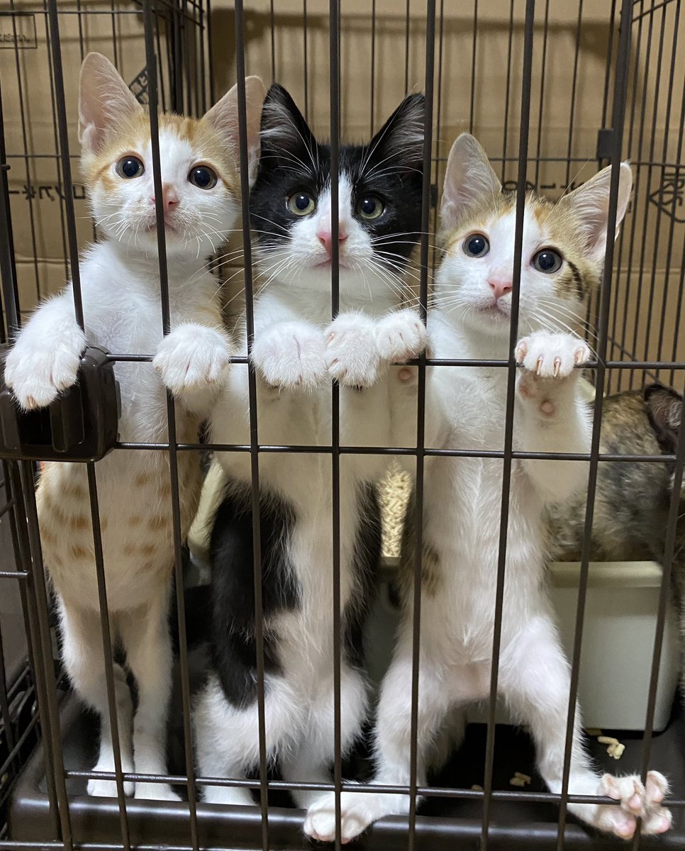 Kcg! Mukanya dah macam tahanan seumur hidup