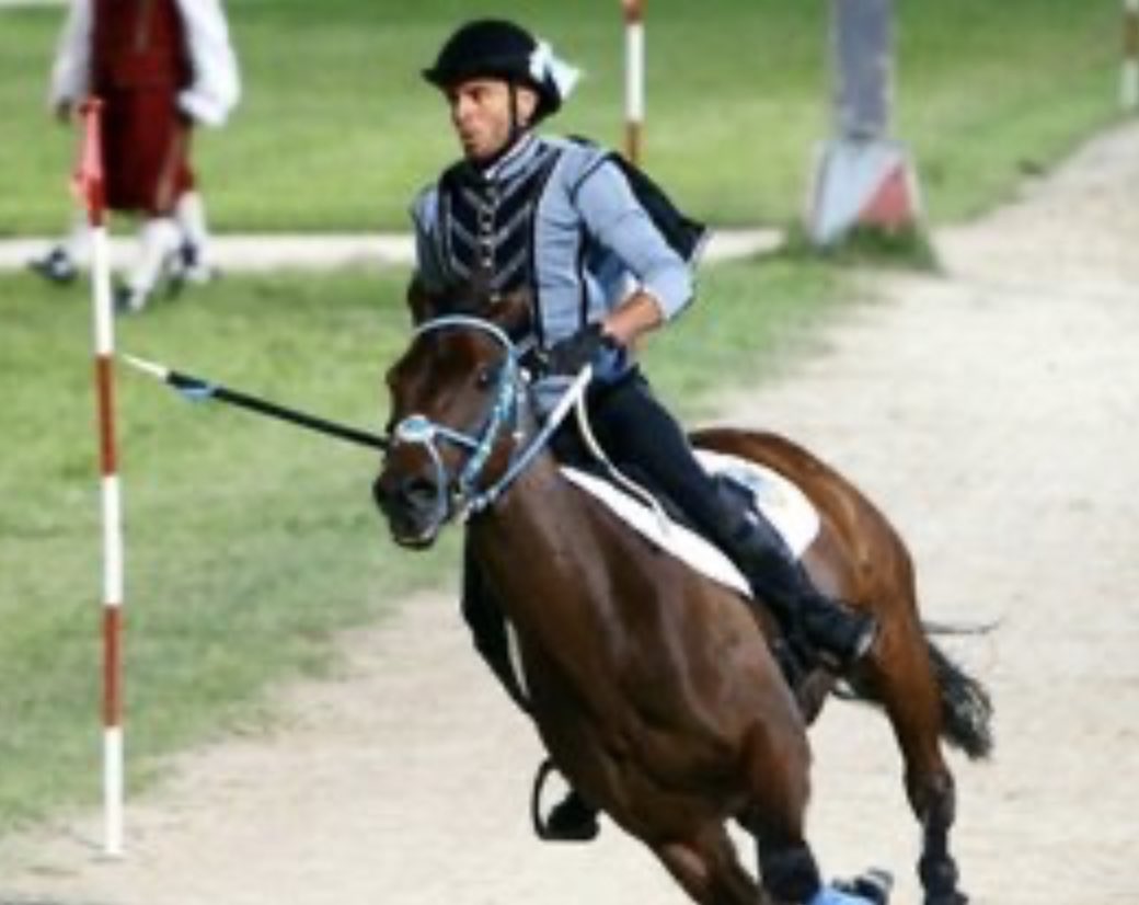 Cavalla morta e fantino Giostra Quintana Foligno in rianimazione ilmessaggero.it/umbria/quintan… Ma, dicono, “è fatalità”. 
Già tre equidi uccisi in scorsi anni lav.it/news/quintana-… intercettazioni choc, processo per doping e frode t.ly/TaYxD Oggi #paliodisiena