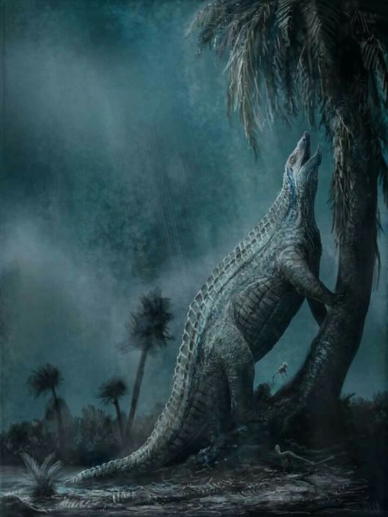 Stagonolepis robertsoni is an extinct, herbivorous crocodilian that measured 3 metres in length. (Credit Mark Witton)