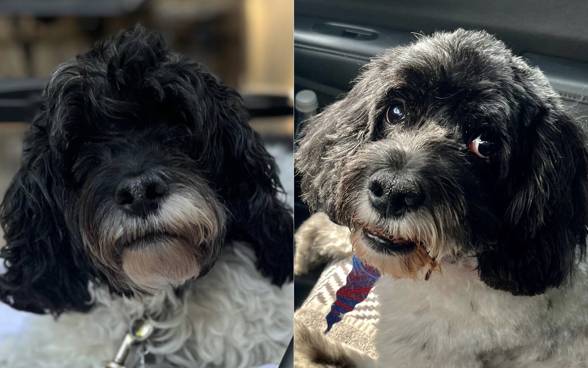 Nicole Blankenship tweet media