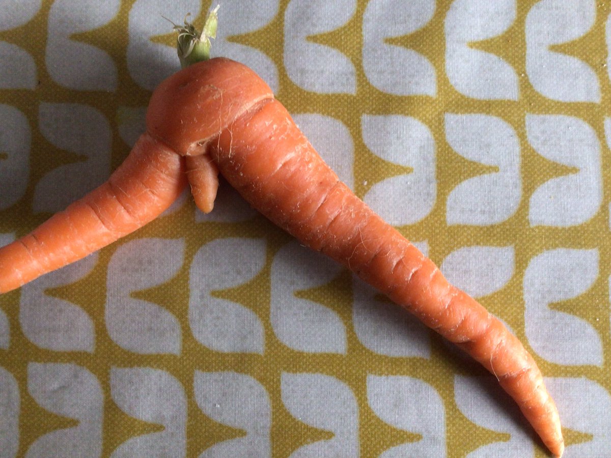 Run carrot, run!
Oooh, you naughty little carrot 😳