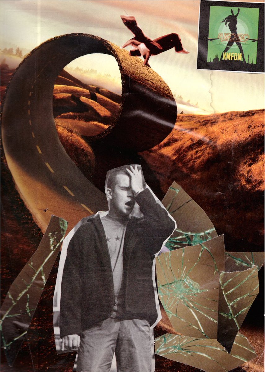 GohKagan's tweet photo. Kagan Goh sharing a collage I made entitled BIPOLAR ROLLER COASTER CRASH. https://t.co/PGW801ylyl