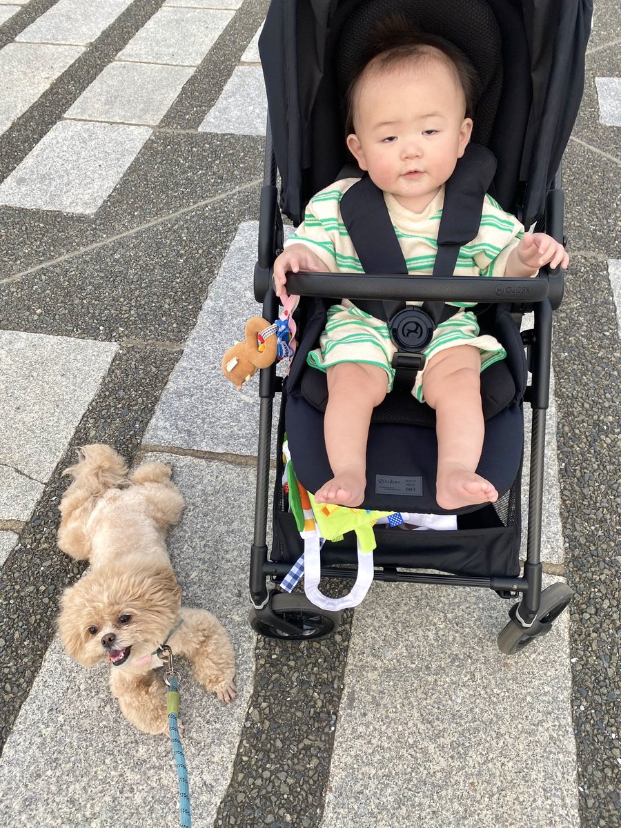 comani_rita's tweet photo. 今日もよき姉弟！！暑かたねぇ〜〜。最後の坊ちゃんの顔は失敗。ばく https://t.co/qwoB81NhDu