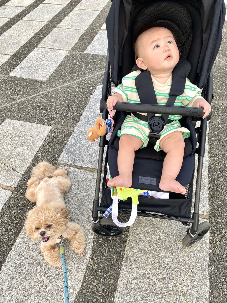comani_rita's tweet photo. 今日もよき姉弟！！暑かたねぇ〜〜。最後の坊ちゃんの顔は失敗。ばく https://t.co/qwoB81NhDu