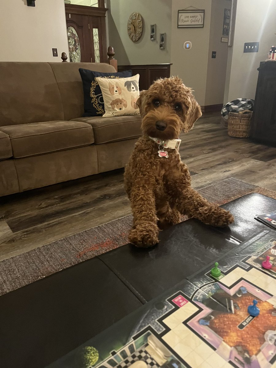 Promo_Champs's tweet image. We will no longer allow Stormi to play Clue. She was suspicious from the beginning. Then when it was time to name her the suspect, she denied all wrongdoing. 😂