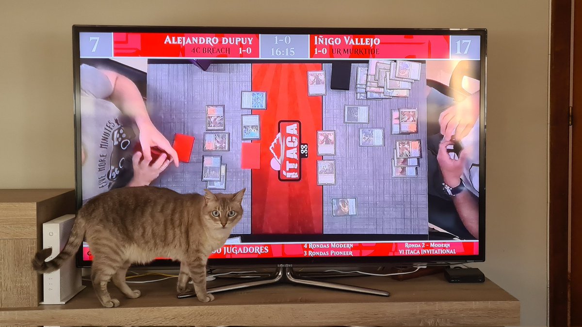 Sandro_R_G's tweet photo. Viendo Moderncito con permiso de mi gato. #ItacaInviVI https://t.co/jojc7dntpN