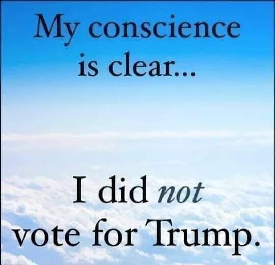 DDBURNES's tweet photo. Bolsonaro is banned for 8yrs from public office for corruption. 
But, Trump isn't banned for starting a coup d'etat ! https://t.co/r3MxifE3ML