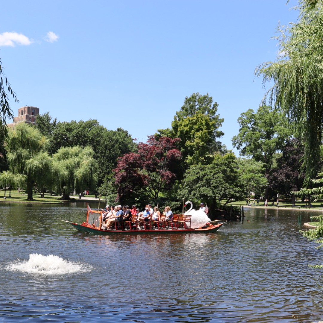 What's better than July in Boston?

🎬 Movie nights
🎨 Arts &amp; crafts workshops
🌸 Mayor's Garden Contest
⛵Splashing at the Frog Pond, riding swan boats
🪩 Concerts, dance parties, and so much more!

➡️ <a href="/BostonParksDept/">Boston Parks and Recreation Department</a> 
boston.gov/news/boston-pa…
