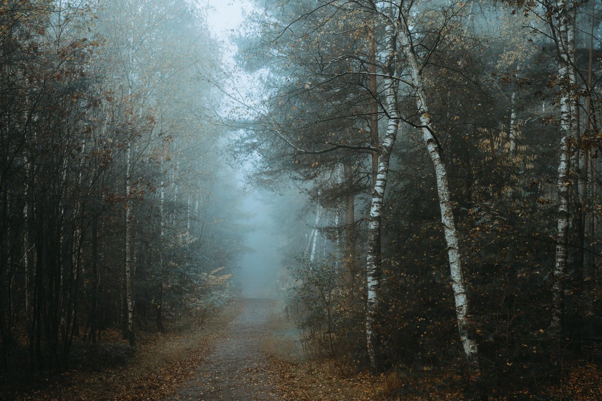 Walk around the neighborhood #2