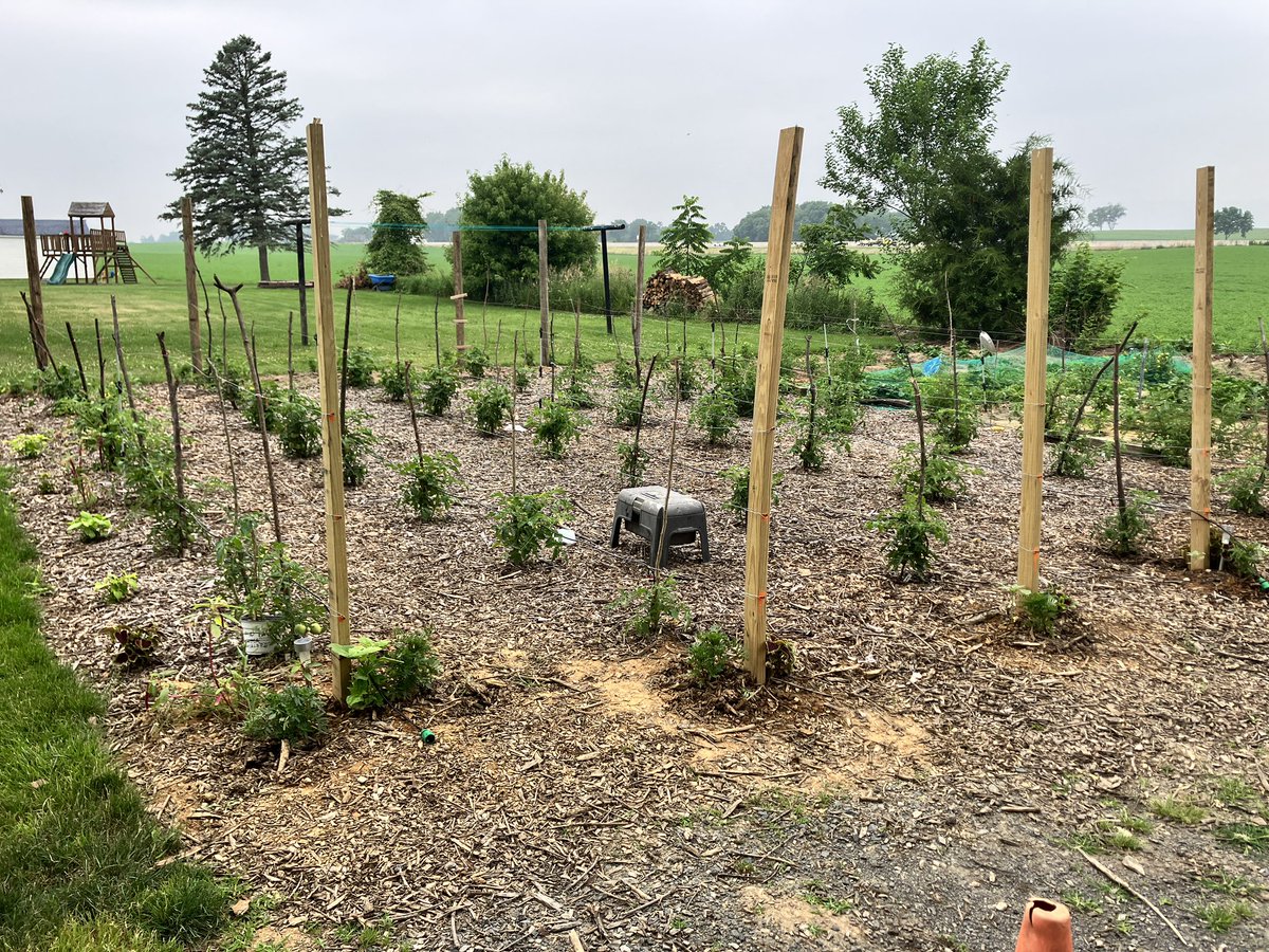 Well.  I always wanted a big garden.   I think I got a little carried away. 😂