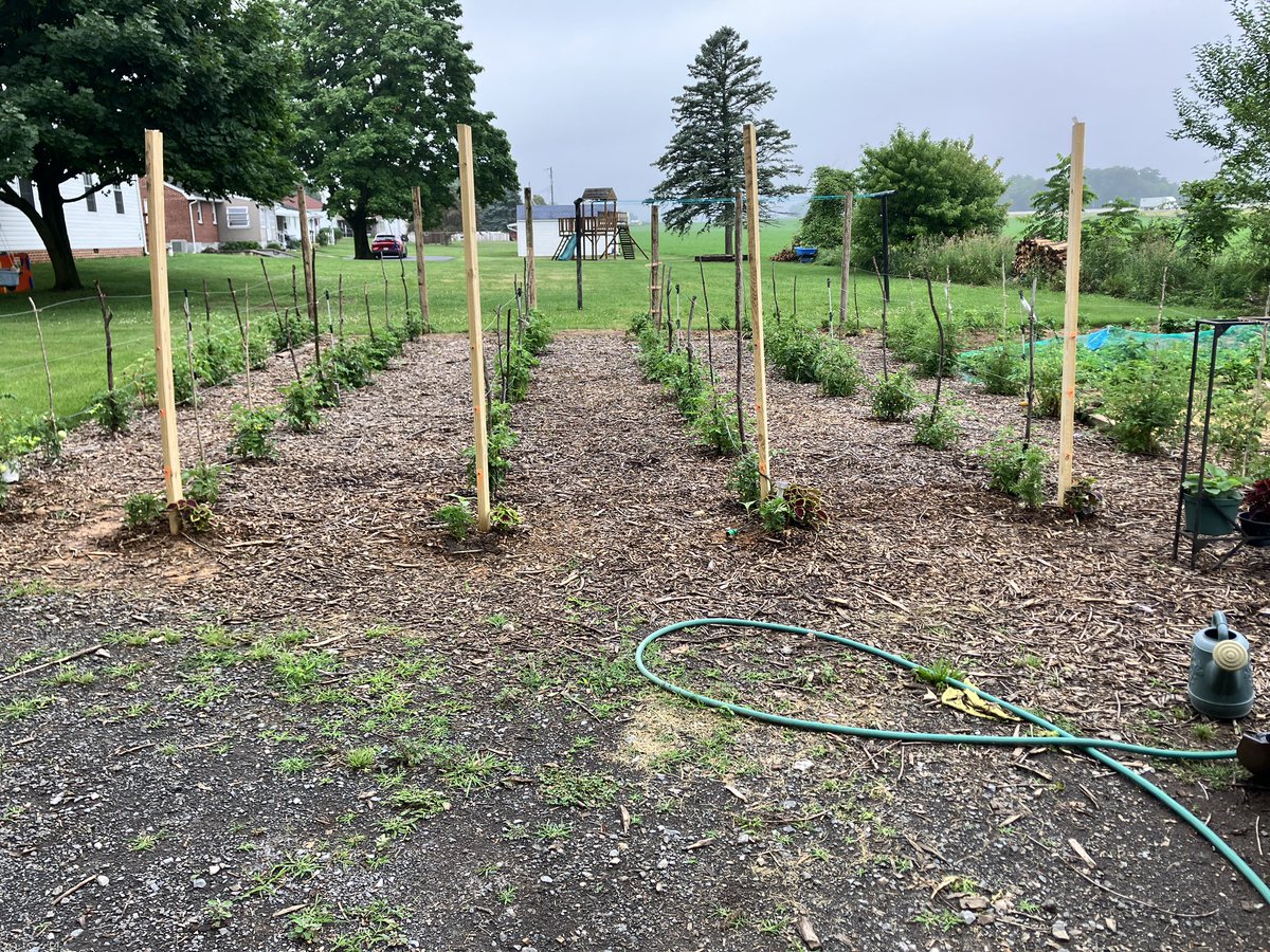 KendallLehman's tweet photo. Well.  I always wanted a big garden.   I think I got a little carried away. 😂 https://t.co/Tq8BMLRsSg