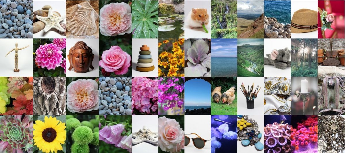 learnmycraft's tweet photo. Free reference photos for artists - https://t.co/z7Tj2JnoLF https://t.co/yedD7XONVP